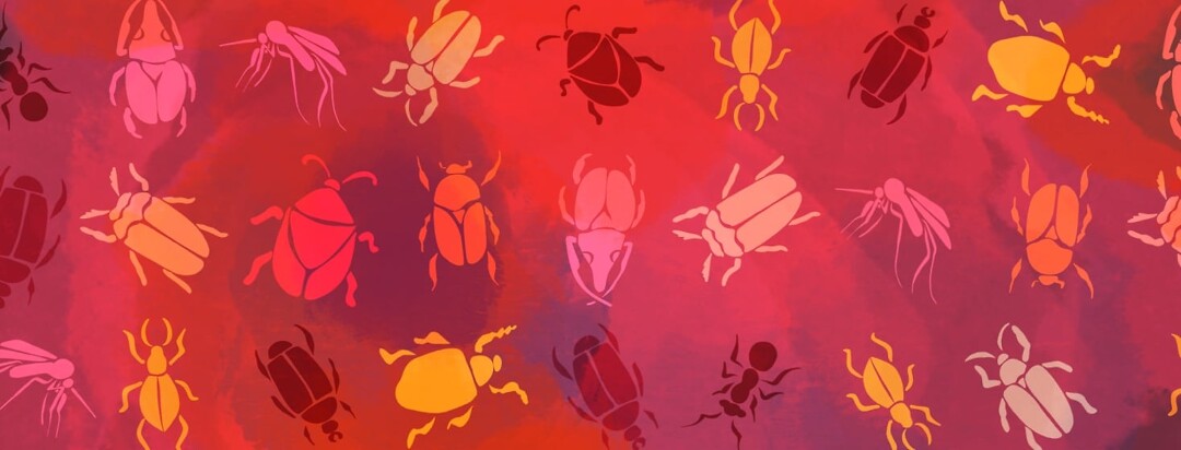 A pattern of different types of insects including beetles, ants, and mosquitoes