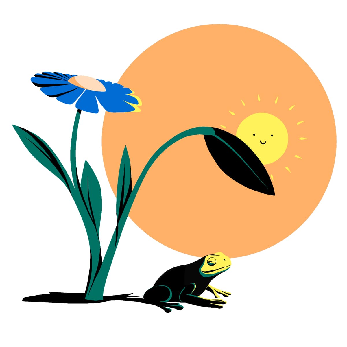 a frog enjoys sunshine and shade from a flower.